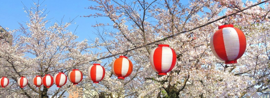 Japanese lanterns and cherry blossoms